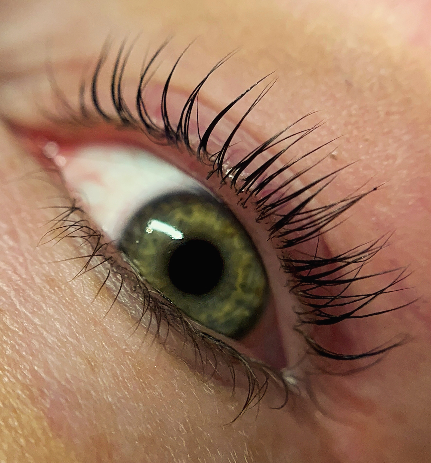 Close-up van volle, gekrulde wimpers